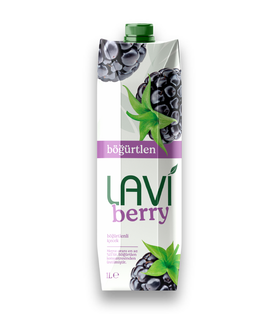 Lavi Berry Böğürtlen 1L